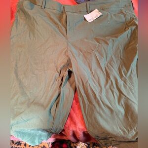 Plus sized slim ankle pants